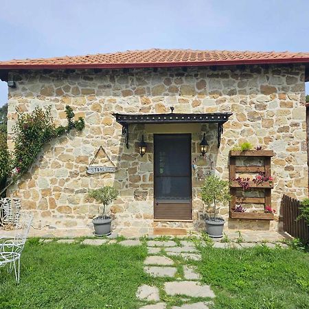 Stone Villas 네아 로다 외부 사진